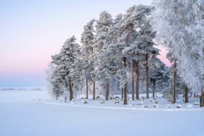 Västra Götaland