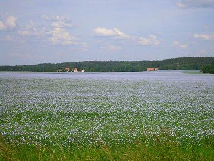 Östergötland