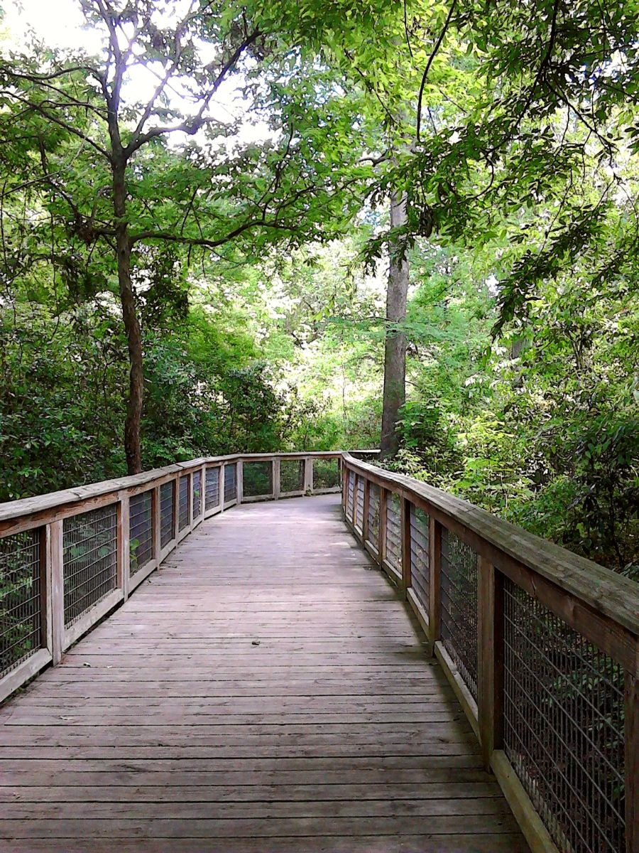 Bluebonnet Swamp Nature Center