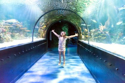 Shreveport Aquarium