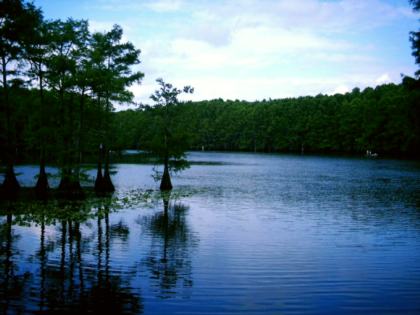 Caddo Lake