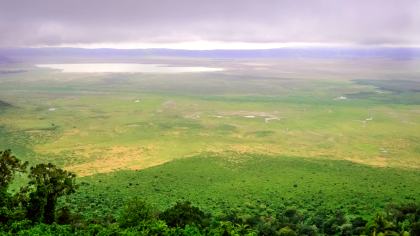 Ngorongoro Crater