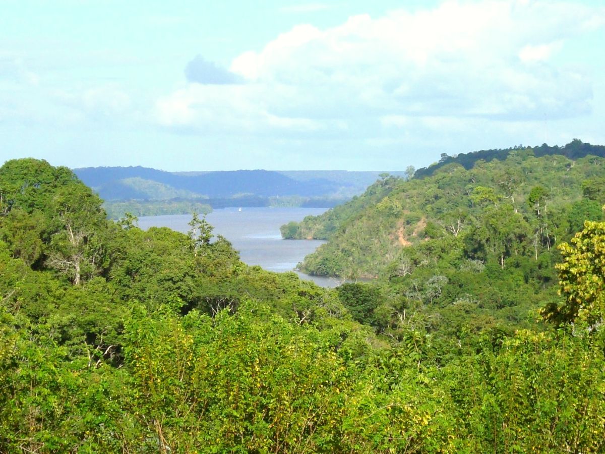 Rio Jari