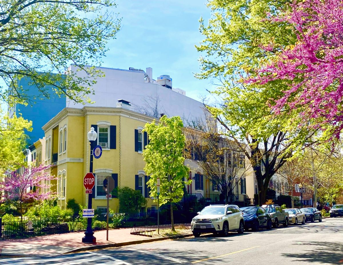 Foggy Bottom