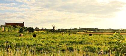 Norfolk