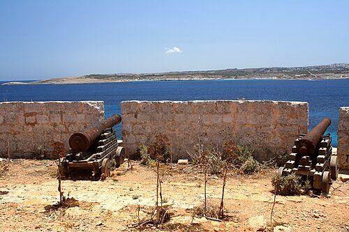 Two retrieved cannons at the Saint Mary's Battery