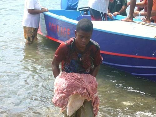 Boy carrying whale meat