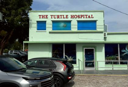 The Turtle Hospital