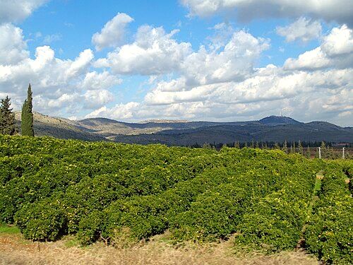 Galilee