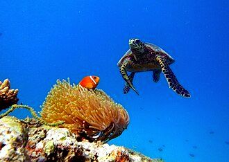 Baa Atoll