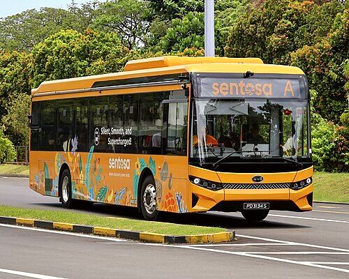 A BYD BC12A04 on Sentosa bus service A at Beach Station Bus Terminal in 2026.