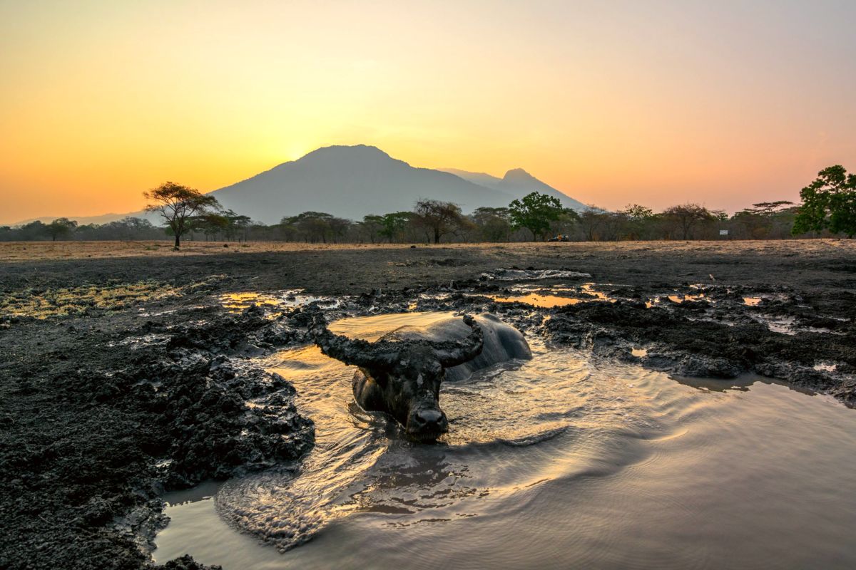 Baluran National Park