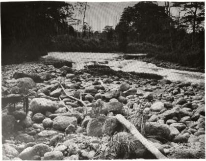 Bohorok River