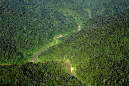 Gunung Leuser National Park
