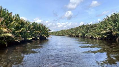 Sekonyer River