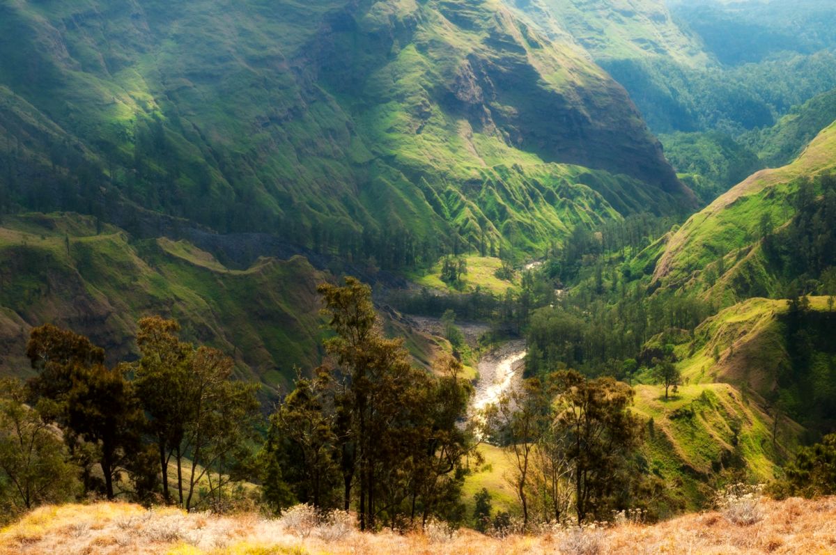 Mount Rinjani National Park