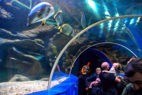 Bristol Aquarium