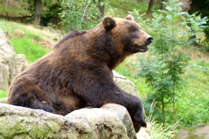 Brno Zoo