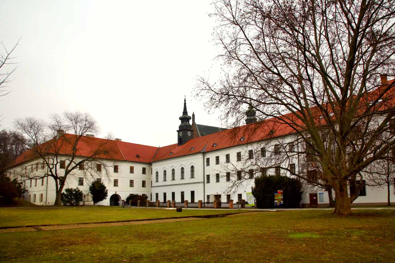 Mendel Museum