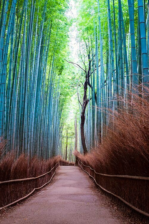 Kyoto