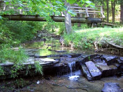 Wildlife Reserve