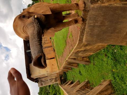 Jos Wildlife Park
