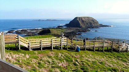 Phillip Island