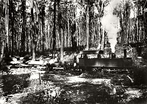 McKenzie's Tramway Locomotive, c. 1920