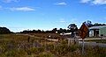 Bruny Island