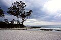 Bruny Island
