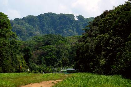 Corcovado National Park