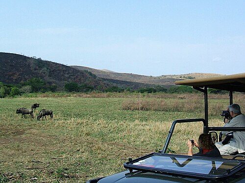 Tourists on safari in Kapama Game Reserve.