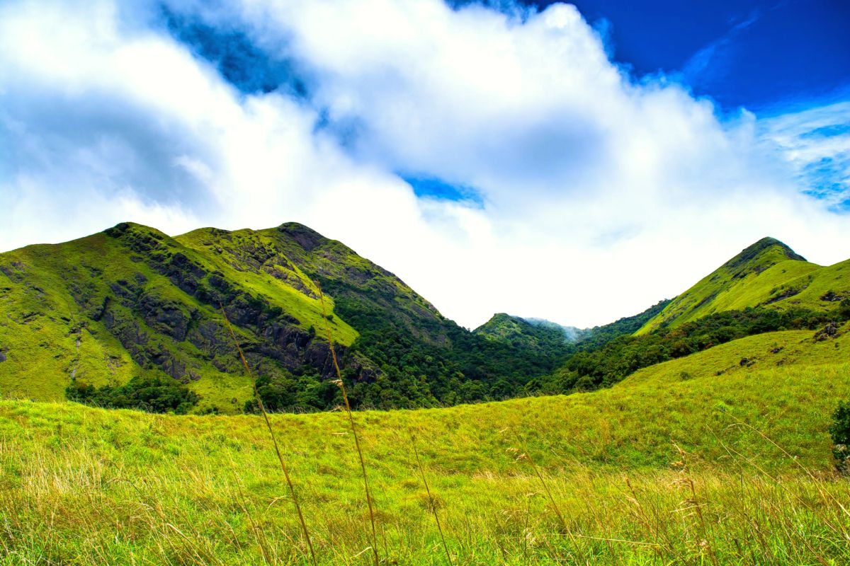 Wayanad