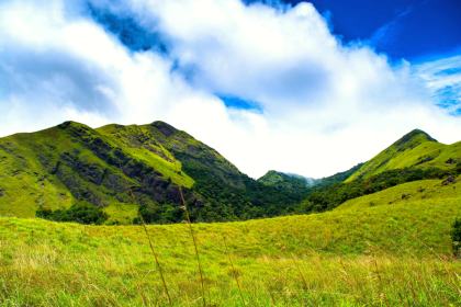 Wayanad