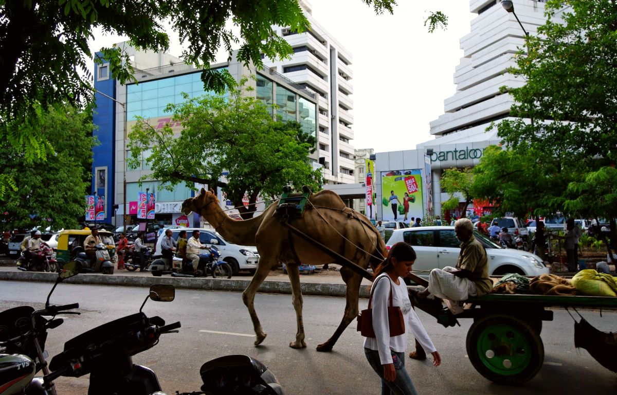 Lokale Traditionen - Ahmedabad