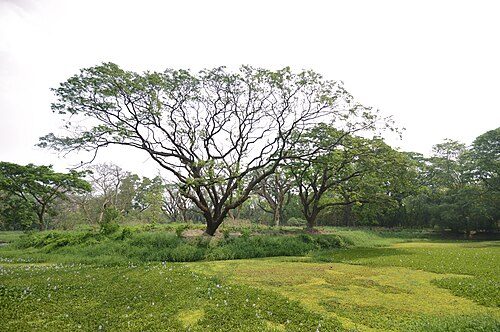 Howrah