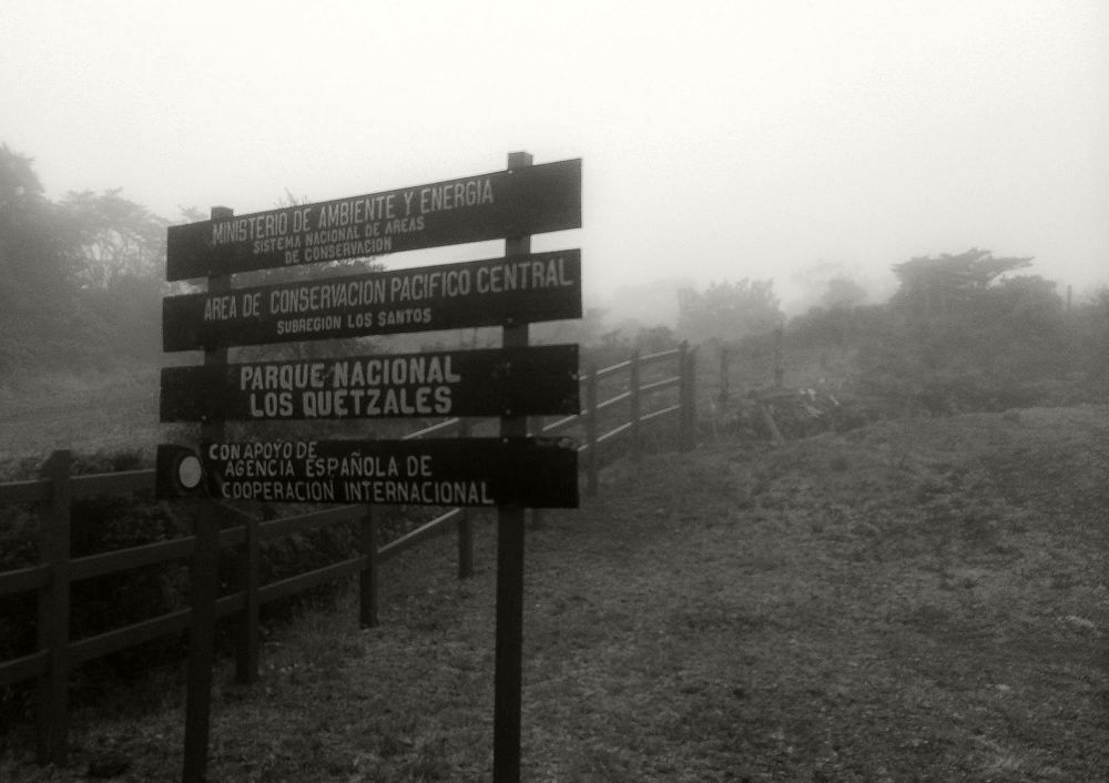 Los Quetzales National Park