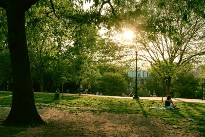 Kalorama Park