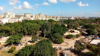 Alexandria Zoo