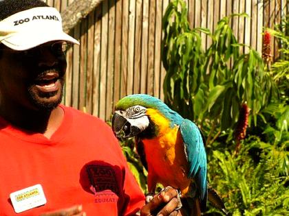 Zoo Atlanta