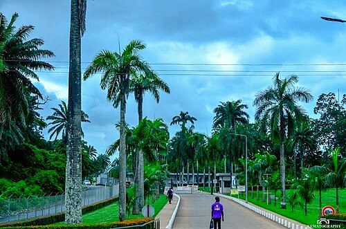 Ibadan