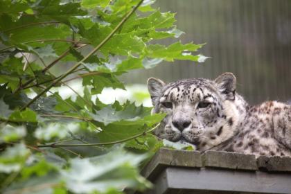 Helsinki Zoo