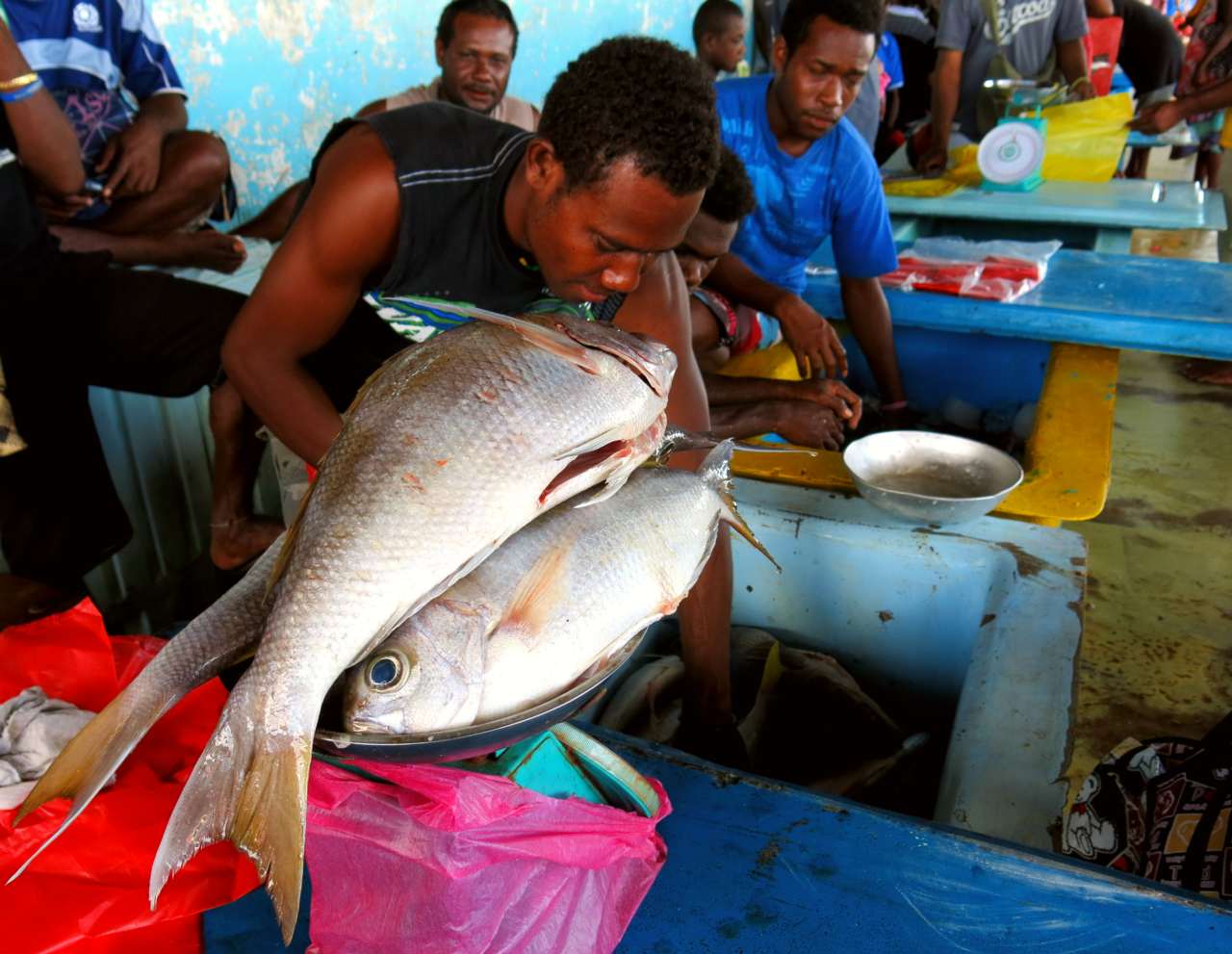 A man sells fish at the central market in Honiara, 2013