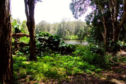 Currumbin Wildlife Sanctuary