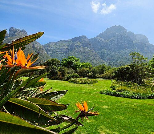 Cape Town