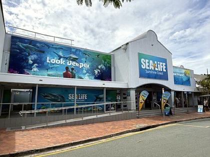 Sea Life Sunshine Coast