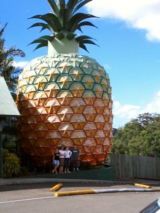 Big Pineapple