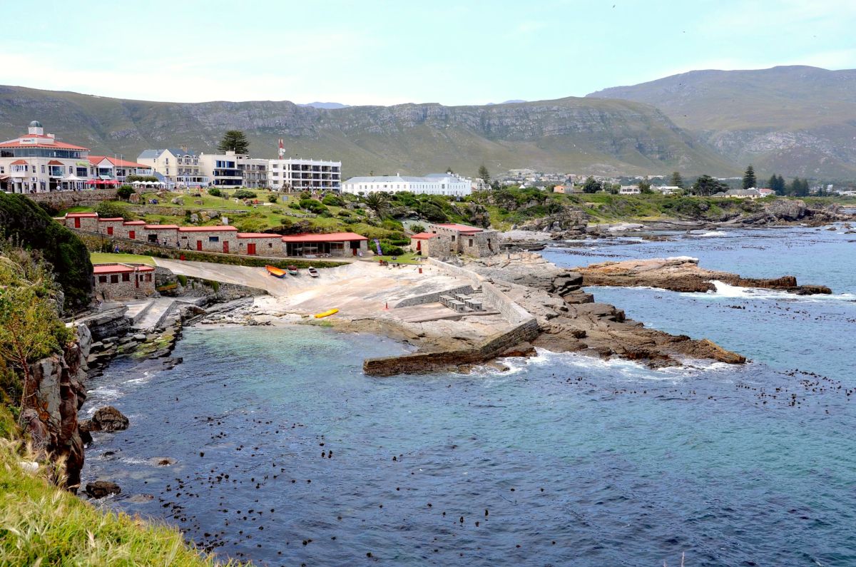Hermanus