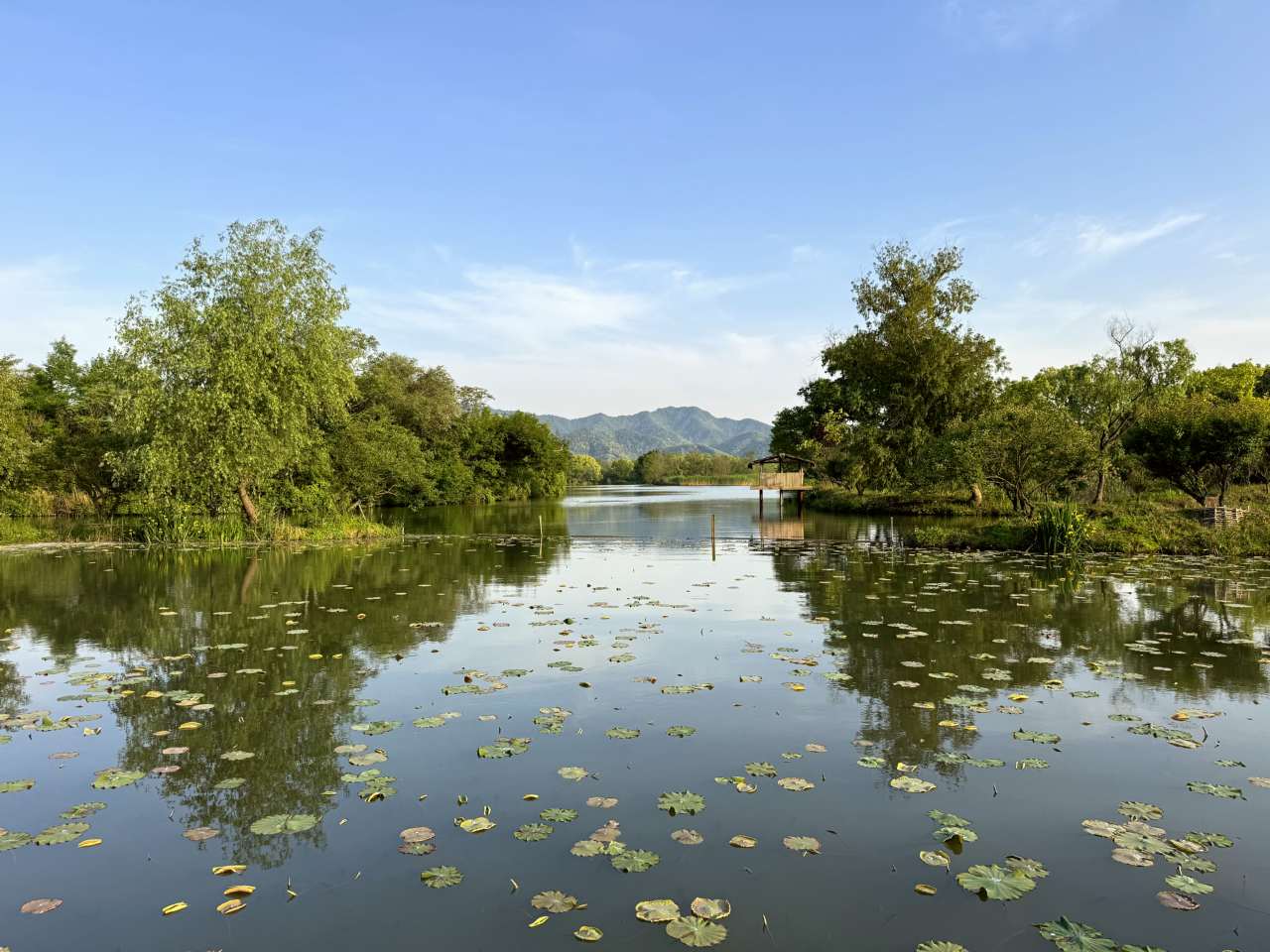 Hangzhou
