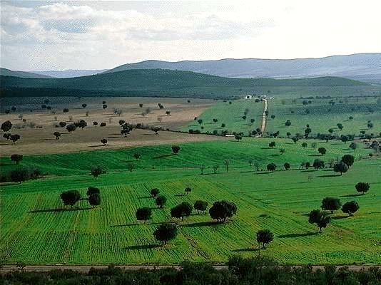 Cabañeros National Park